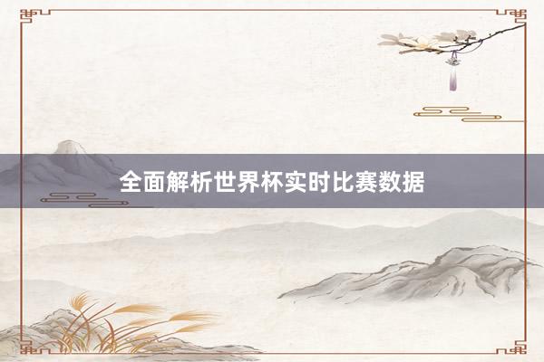 全面解析世界杯实时比赛数据