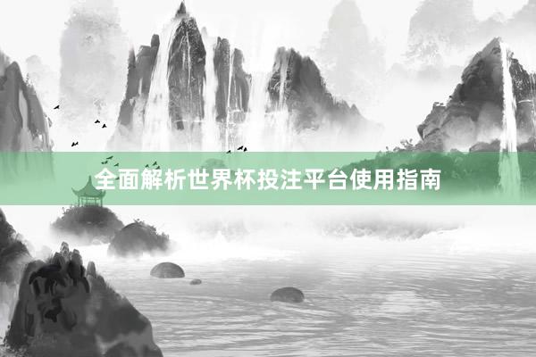 全面解析世界杯投注平台使用指南